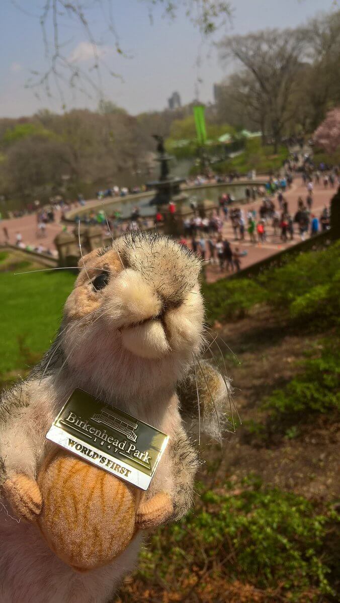 A squirrel Teddy bear holding a walnut in Central Park New York