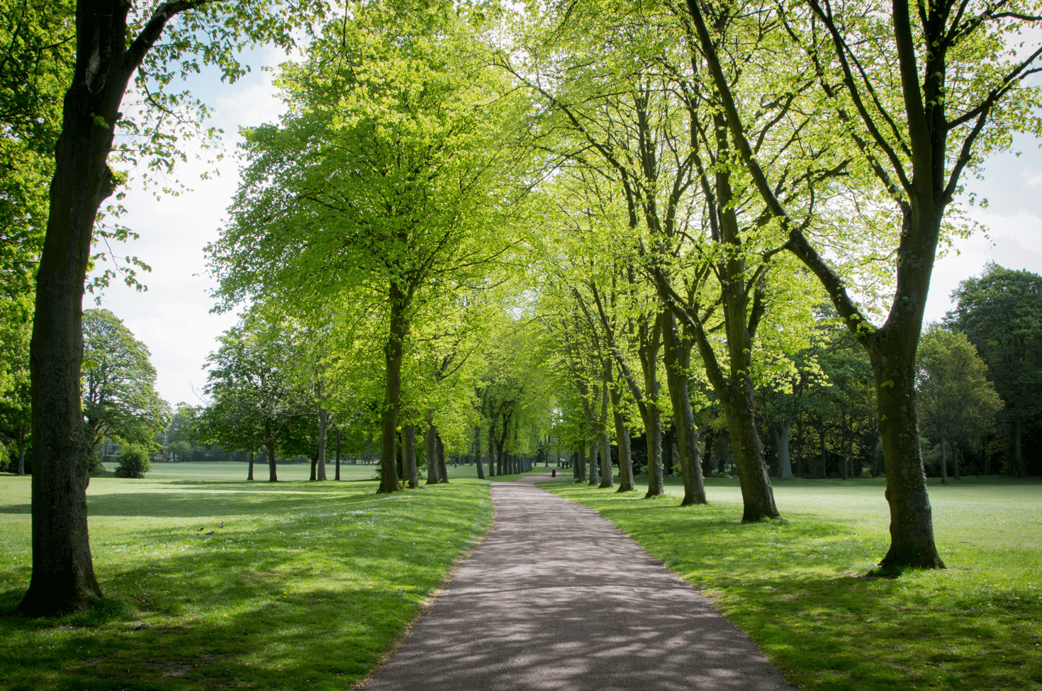 Birkenhead Park's coronation walk